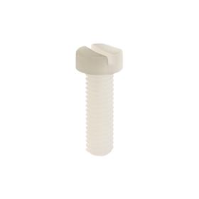 Screw and bolts