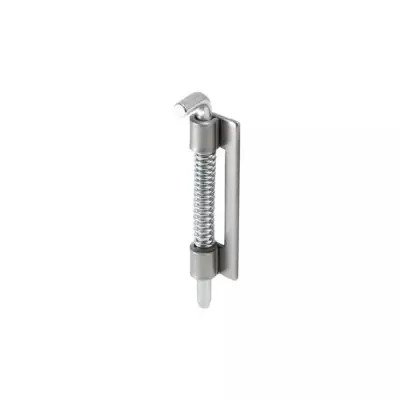 Hidden hinge spring pin model 1