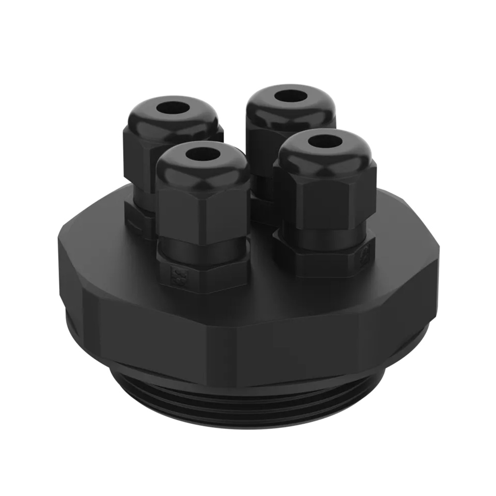 Mounting for immersion float switch