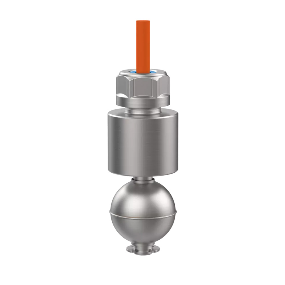 Immersion float switch